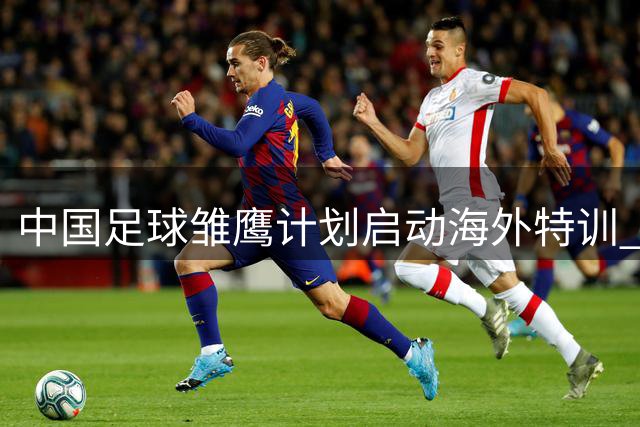 中国足球"雏鹰计划"启动海外特训 雷腾龙领衔教练团队